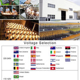 G40 Outdoor Solar String Light Garland LED Solar String Lights 24V Globe Waterproof Hanging Lights for Garden Backyard Cafe
