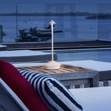 Type-C Rechargeable Table Lamp Creative Dining Touch Led Hotel Bar Coffee Pina Table Lamp Lampada Da Tavolo Decorative Desk Lamp